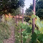 Apartament Il Gufo E L' Allodola Caiazzo