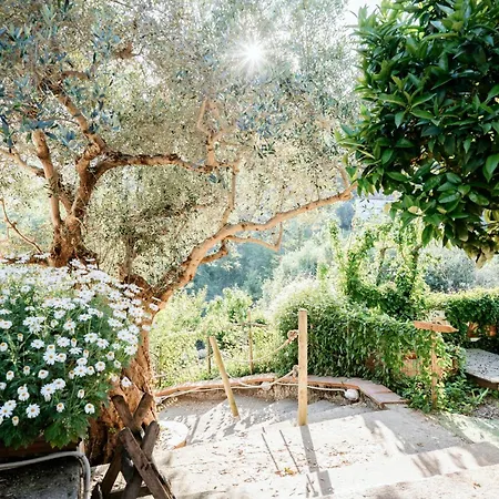 Il Gufo E L' Allodola Apartament Caiazzo