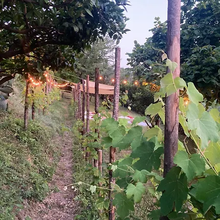 公寓 Il Gufo E L' Allodola Caiazzo
