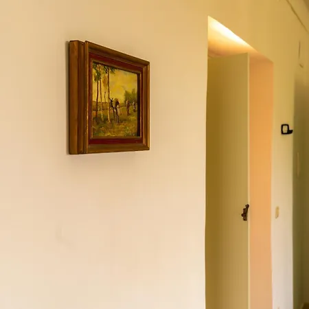 Il Gufo E L' Allodola Caiazzo
