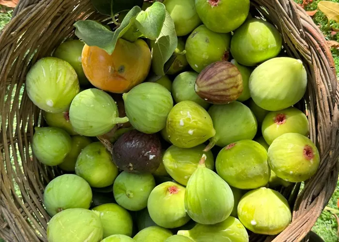 Il Gufo E L' Allodola 아파트 *