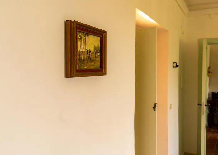 Il Gufo E L' Allodola Caiazzo